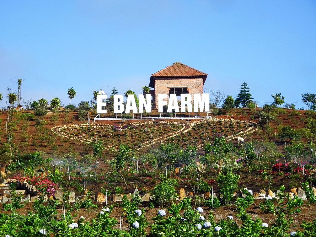 Ê Ban Farm | Điểm du lịch chech in chụp ảnh đẹp Măng Đen